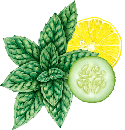 Vodka Cucumber Collins