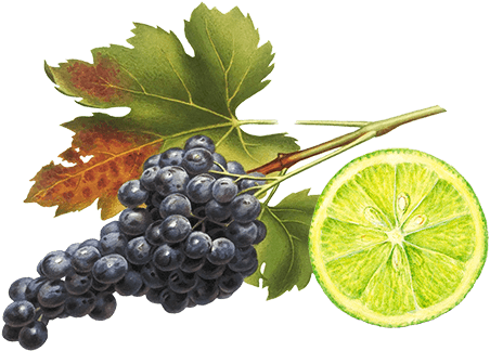 Vodka Grape Transfusion