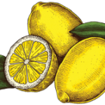 Whiskey Lemonade