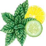Vodka Cucumber Collins